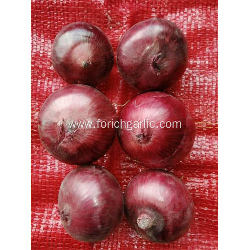 Healthy Good Fresh Red onion